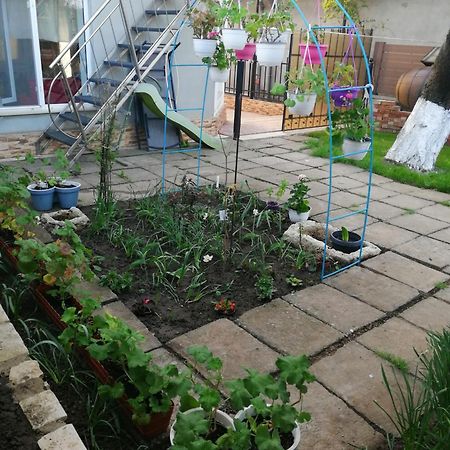 Casa Flor Διαμέρισμα Două Mai Εξωτερικό φωτογραφία