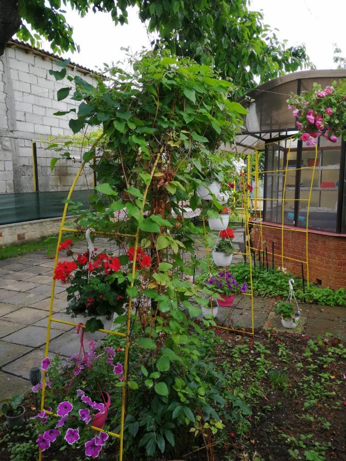 Casa Flor Διαμέρισμα Două Mai Εξωτερικό φωτογραφία